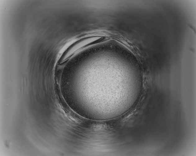 X0000100390200200806130959