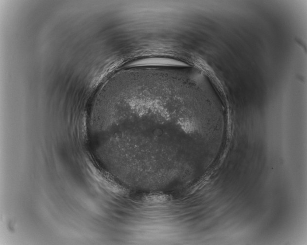 X0000100390202200806130959