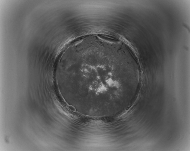 X0000100390203200806130959