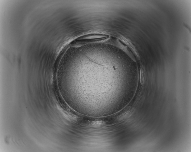 X0000100390204200806130959