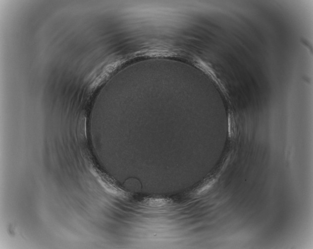 X0000100390205200806130959