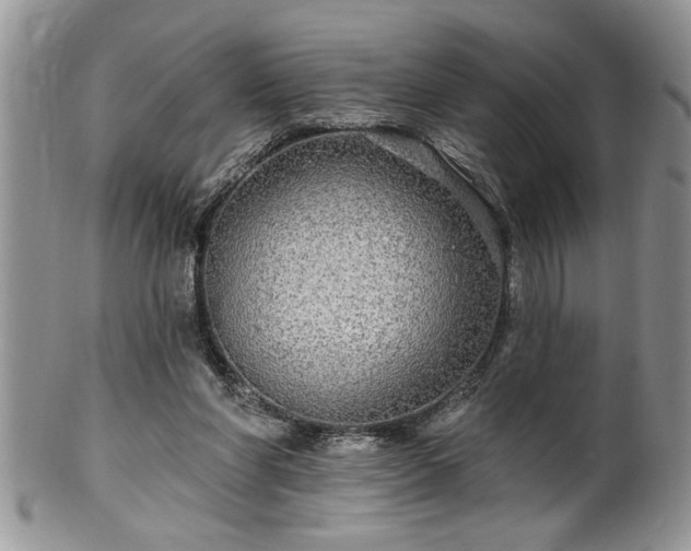 X0000100390206200806130959