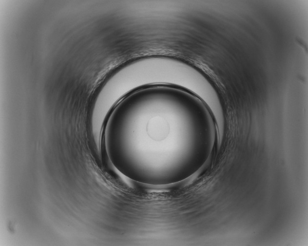 X0000100390207200806130959