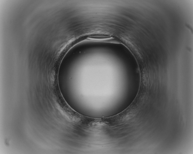 X0000100390208200806130959