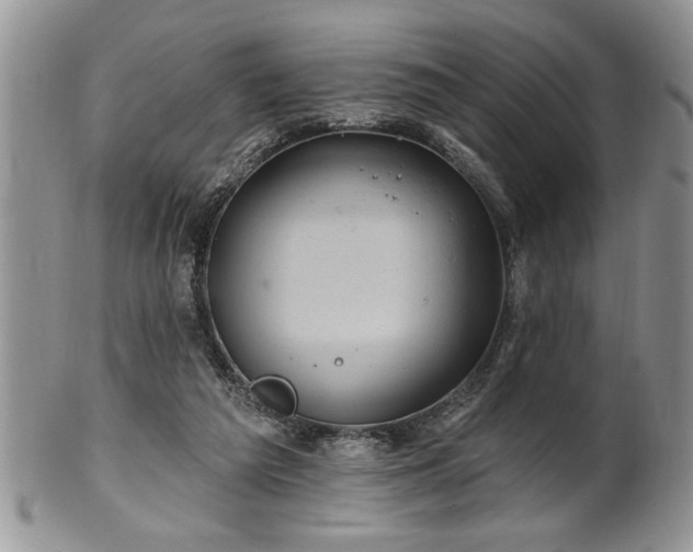 X0000100390209200806130959