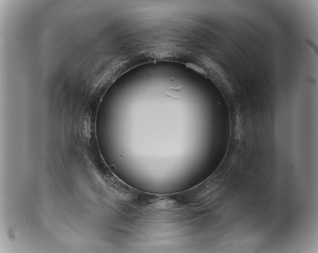 X0000100390210200806130959