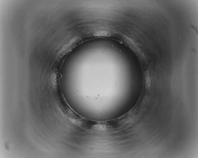 X0000100390211200806130959