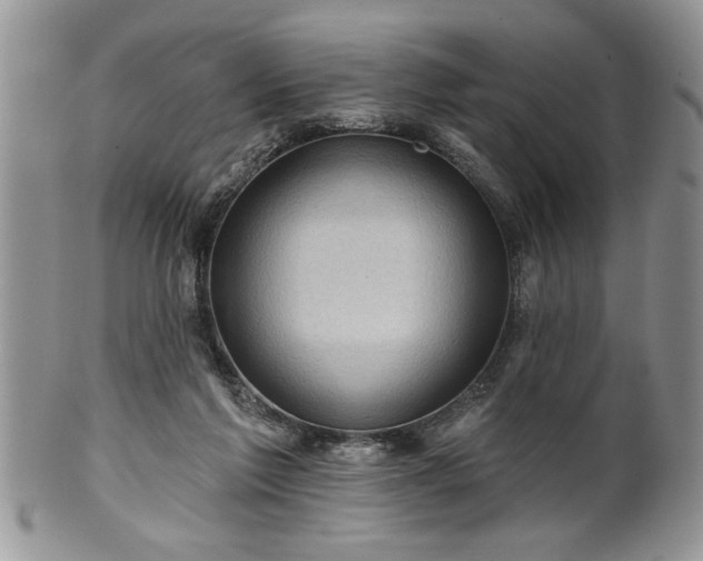 X0000100390213200806130959