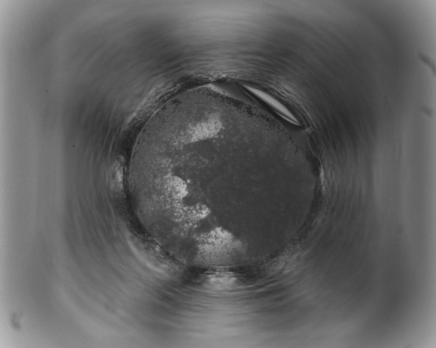 X0000100390214200806130959