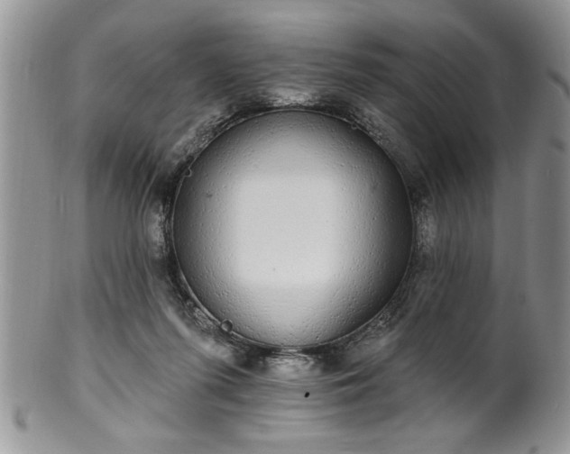 X0000100390215200806130959