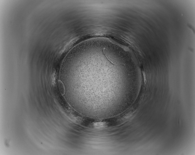 X0000100390216200806130959