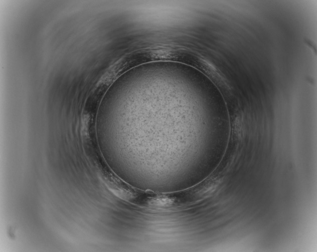 X0000100390217200806130959