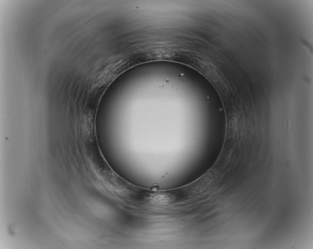 X0000100390218200806130959