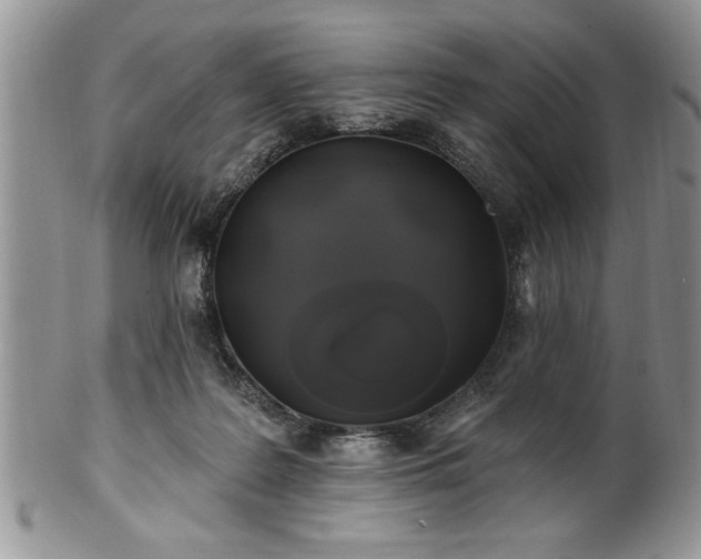 X0000100390219200806130959