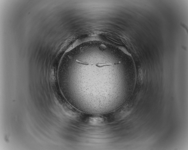 X0000100390220200806130959