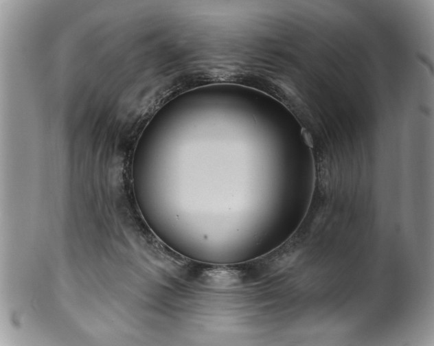 X0000100390221200806130959