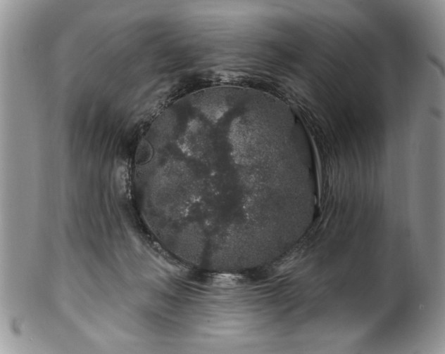 X0000100390222200806130959