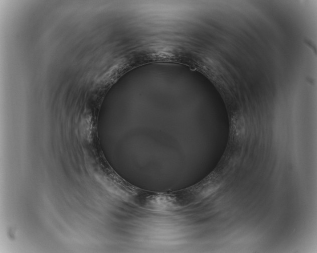 X0000100390223200806130959