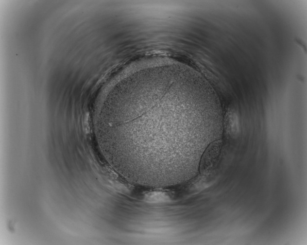 X0000100390224200806130959