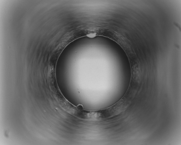 X0000100390225200806130959