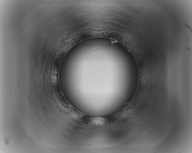 X0000100390226200806130959