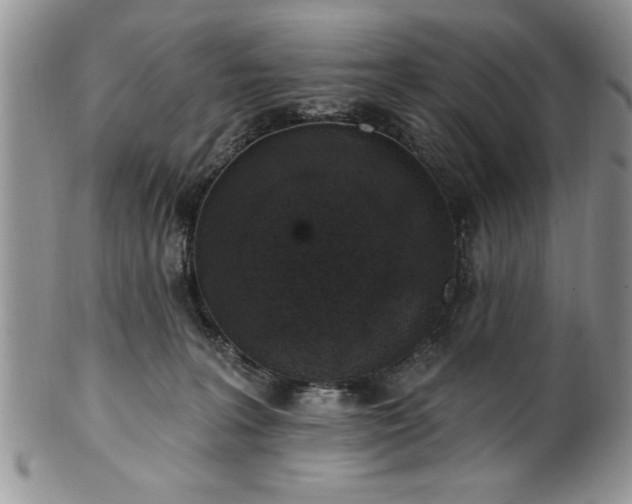 X0000100390227200806130959