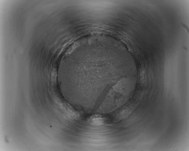 X0000100390228200806130959