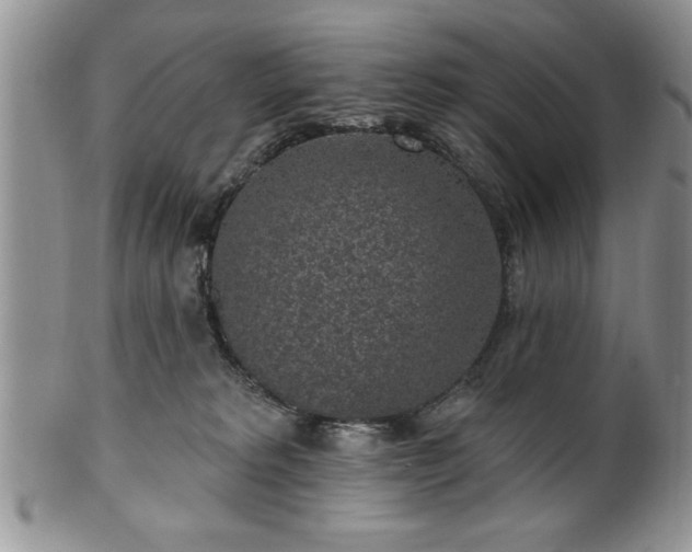 X0000100390229200806130959