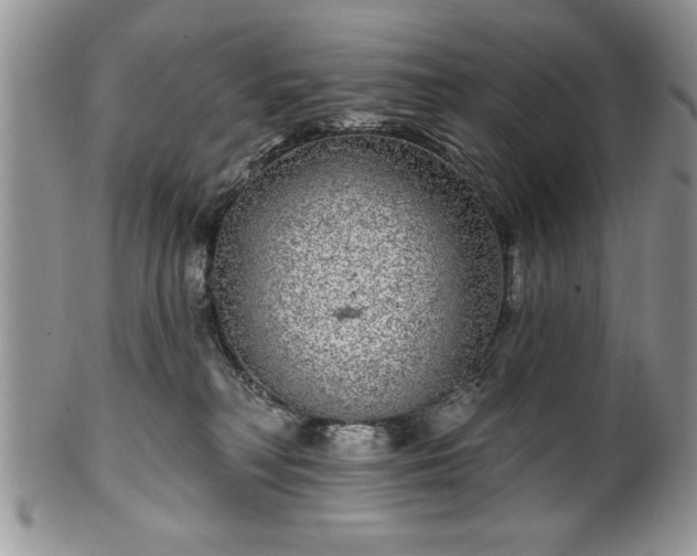 X0000100390230200806130959