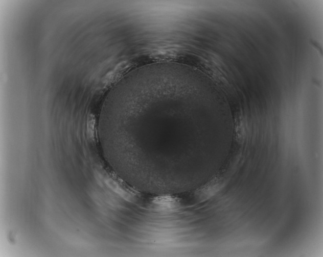 X0000100390231200806130959