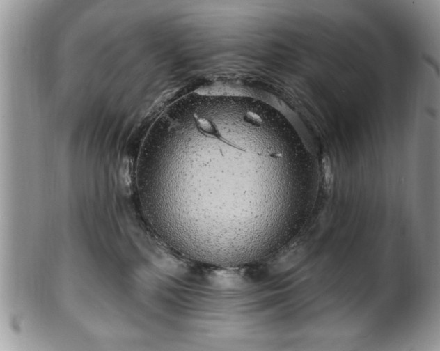 X0000100390232200806130959