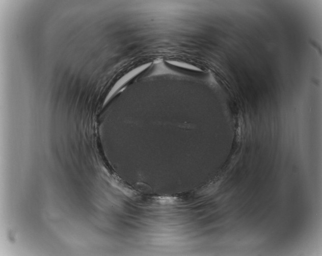 X0000100390233200806130959