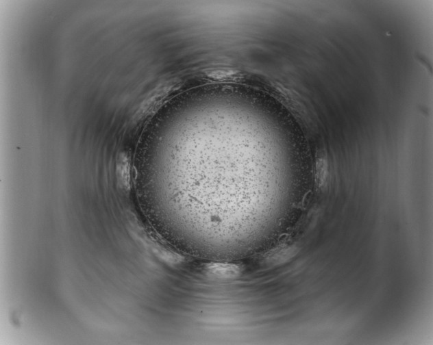 X0000100390234200806130959