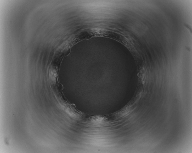 X0000100390235200806130959