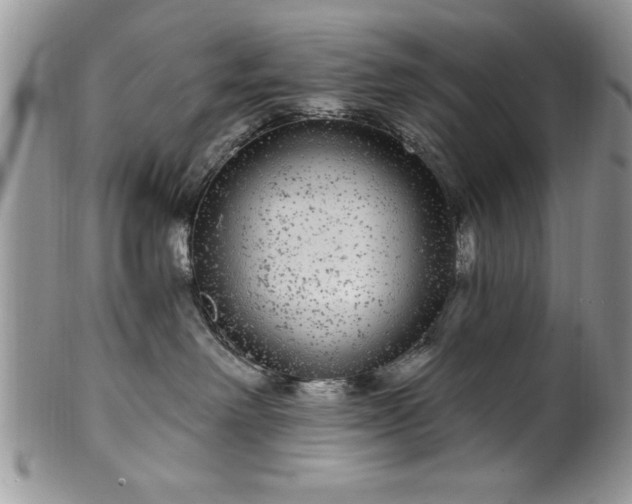 X0000100390238200806130959