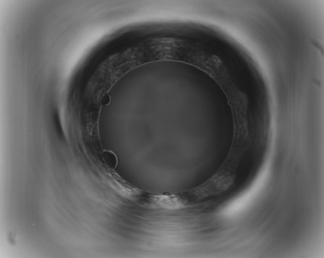 X0000100390239200806130959