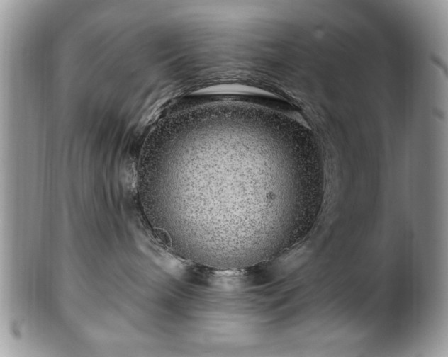 X0000100390240200806130959