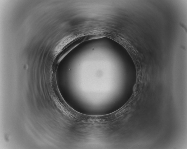 X0000100390242200806130958