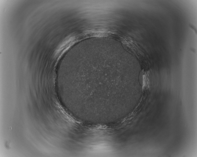 X0000100390243200806130958