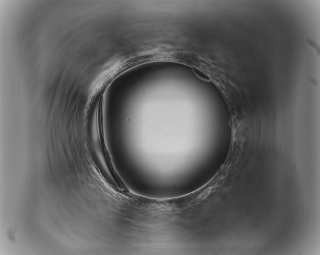 X0000100390245200806130958