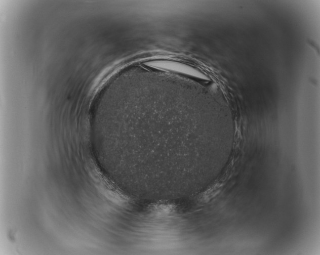 X0000100390247200806130958