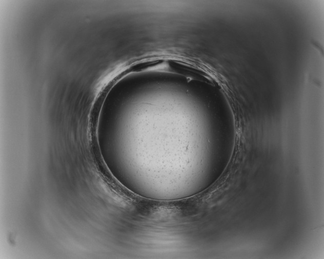 X0000100390248200806130958