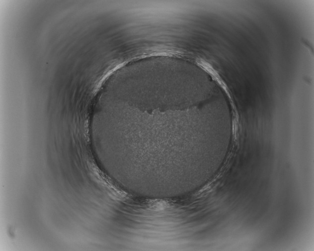 X0000100390249200806130958