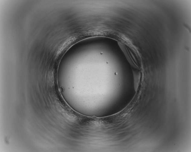 X0000100390250200806130958