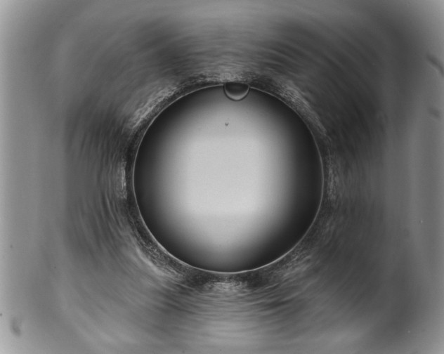 X0000100390251200806130958