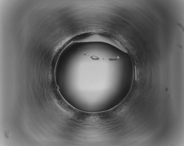 X0000100390252200806130958