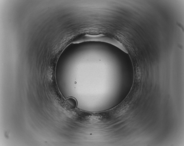 X0000100390255200806130958