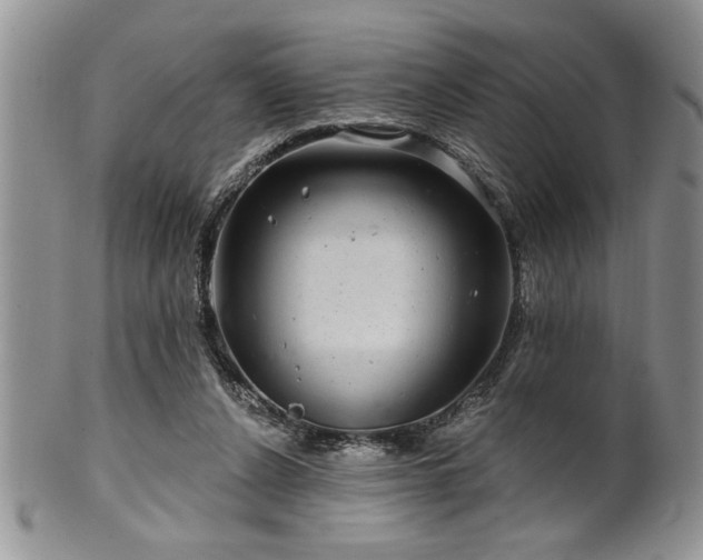 X0000100390256200806130958