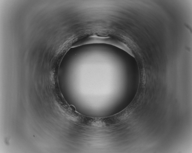 X0000100390258200806130958