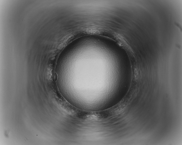 X0000100390259200806130958